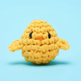 Poquita Chickita Accessory Kit